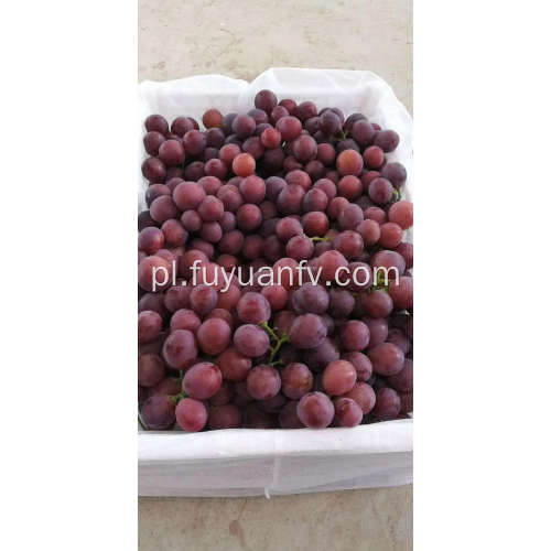 Red Seedless odżywianie winogron